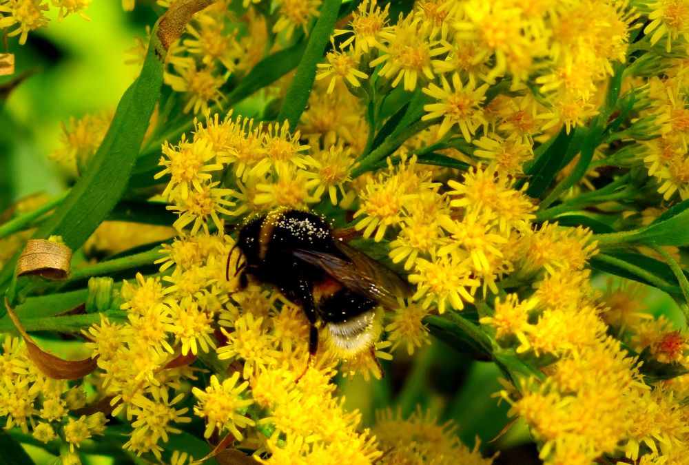 Фотография автора Tkachev Aleksey