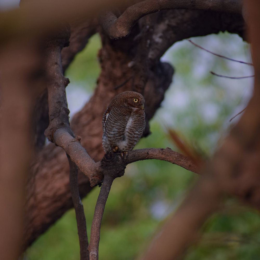 Photograph by Harkesh Kumar