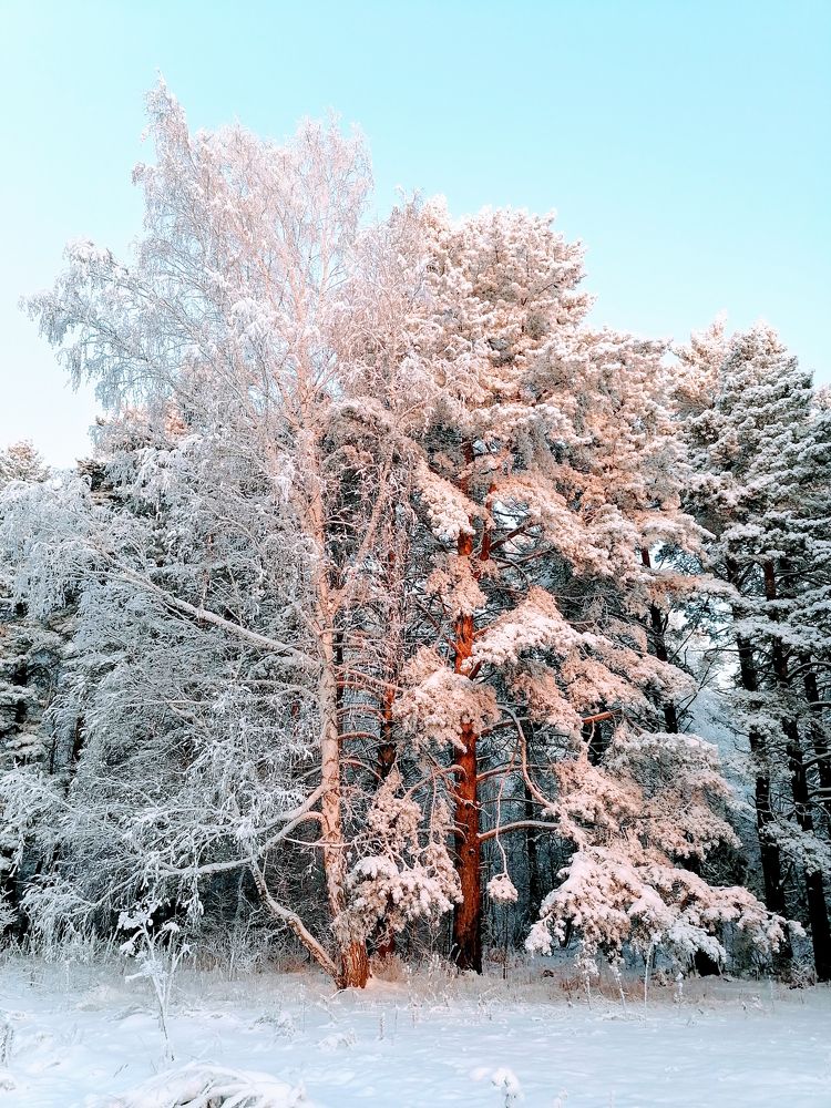 Photograph by Рустам Халитов