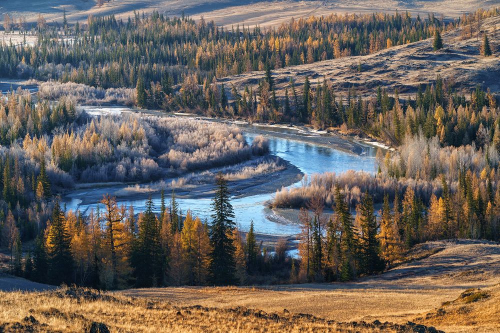 Photograph by Лариса Дука