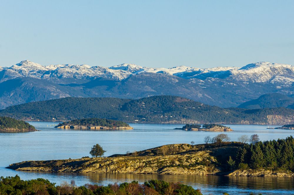 Фотография автора Minja Jovetic