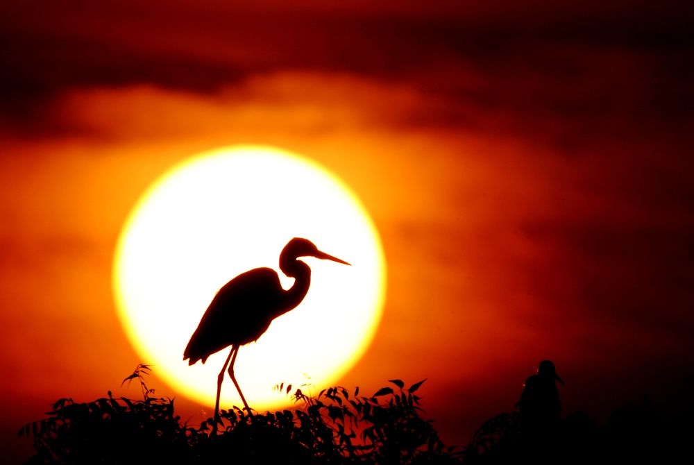 Photograph by Nirav Mehta