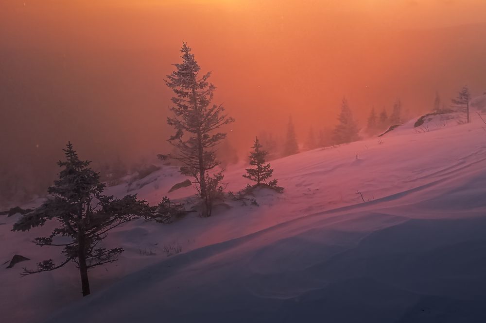 Photograph by Илья Толстоноженко