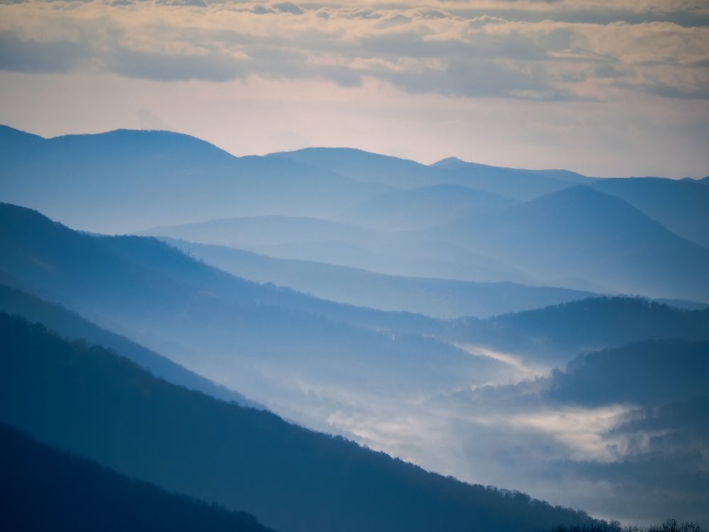 Photograph by Alexandra German