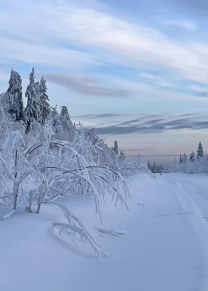 Photograph by Марина Маликова