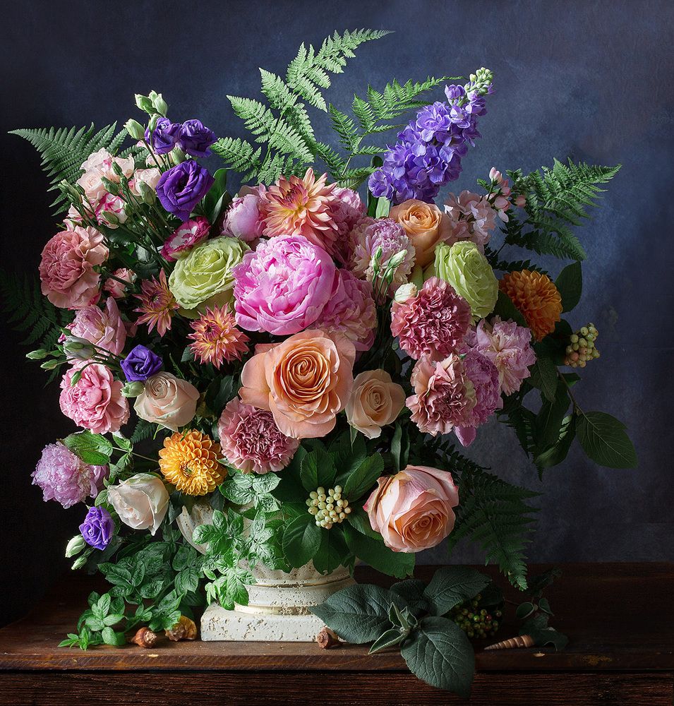 Фотография автора Алина Ланкина