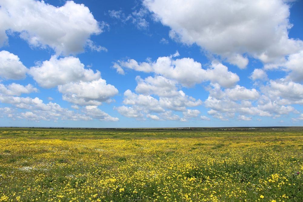 Photograph by Galina Tsmyg