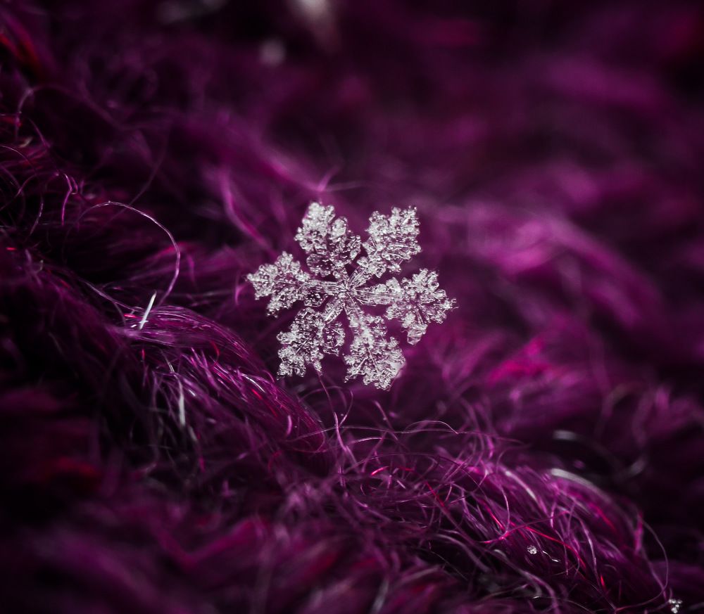 Photograph by Анастасия Чушкова