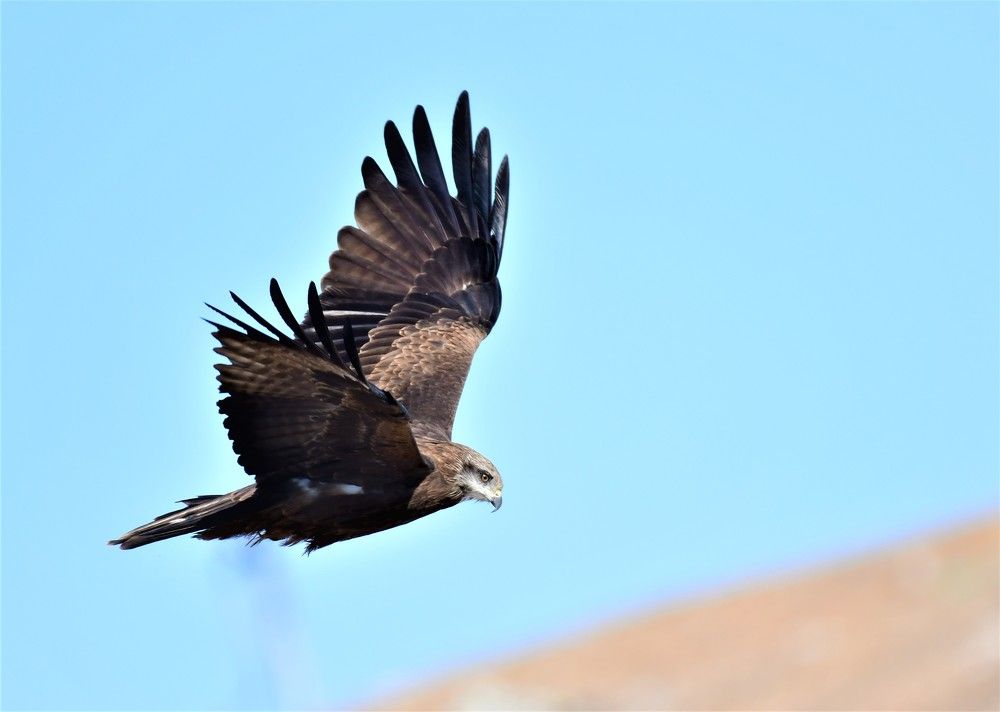 Photograph by Dagmara Giller