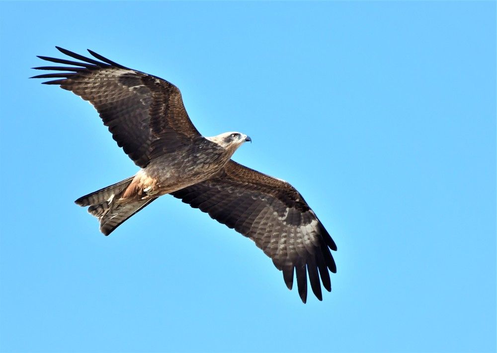 Photograph by Dagmara Giller