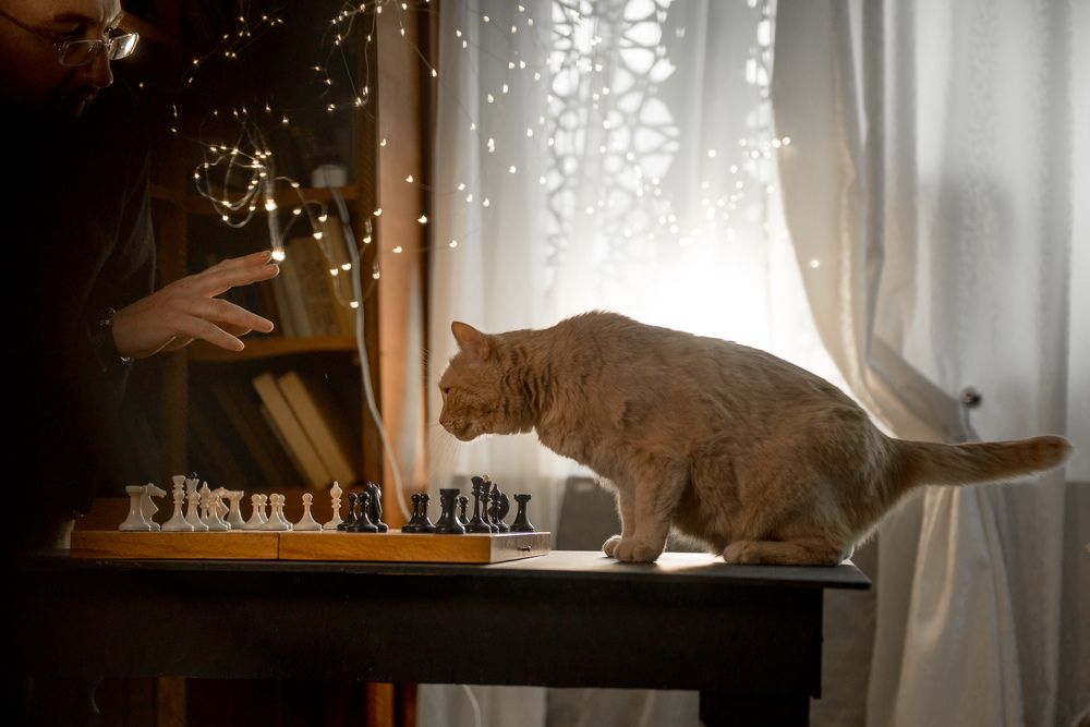 Photograph by Мария Луцук