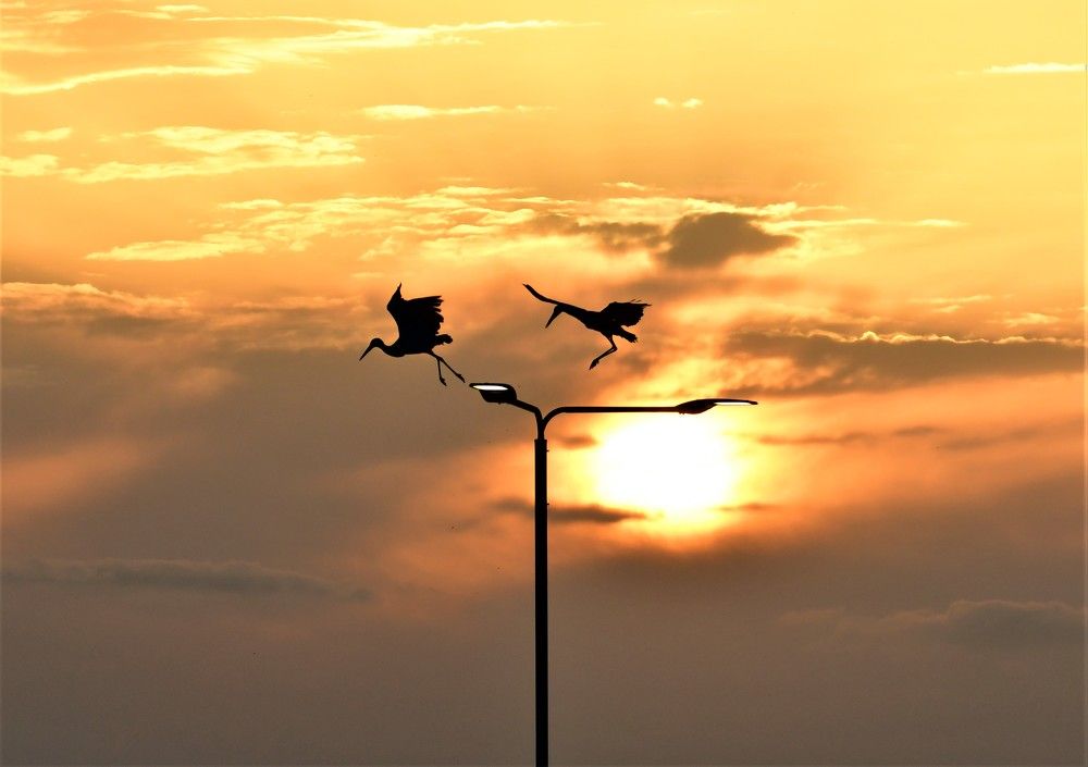 Photograph by Dagmara Giller