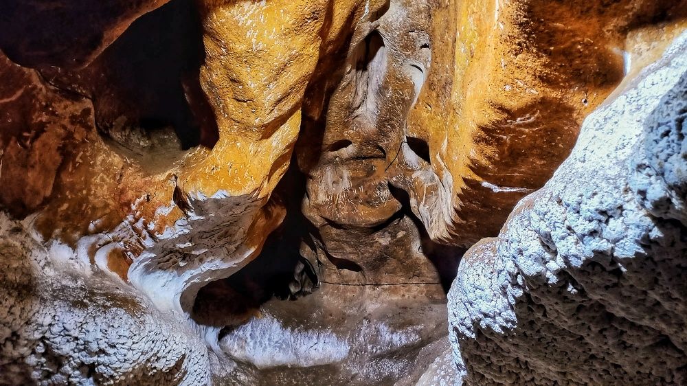 Photograph by shahin foroughi