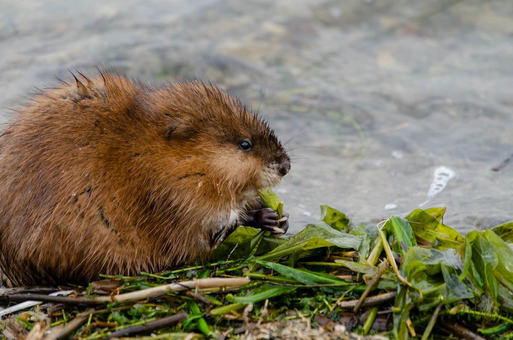 Photograph by Вадим Басов