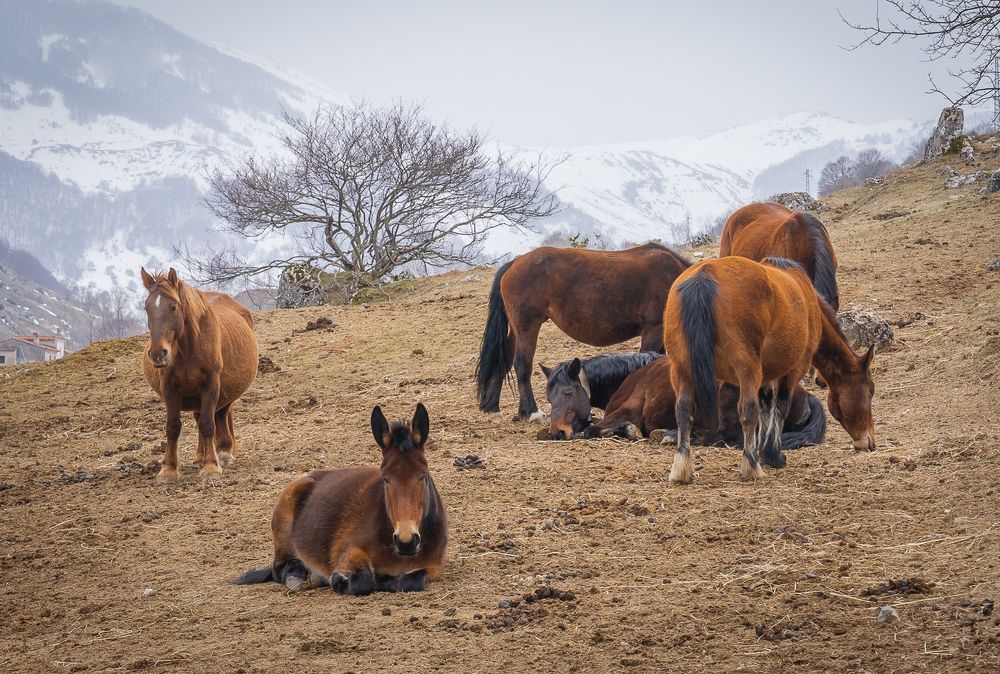Фотография автора Максимова Дария