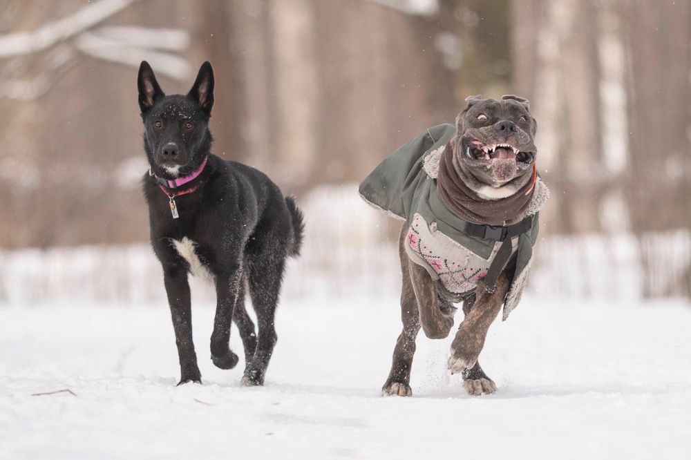 Photograph by Marie Romanova