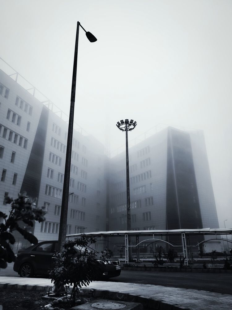 Photograph by Amin Jamei