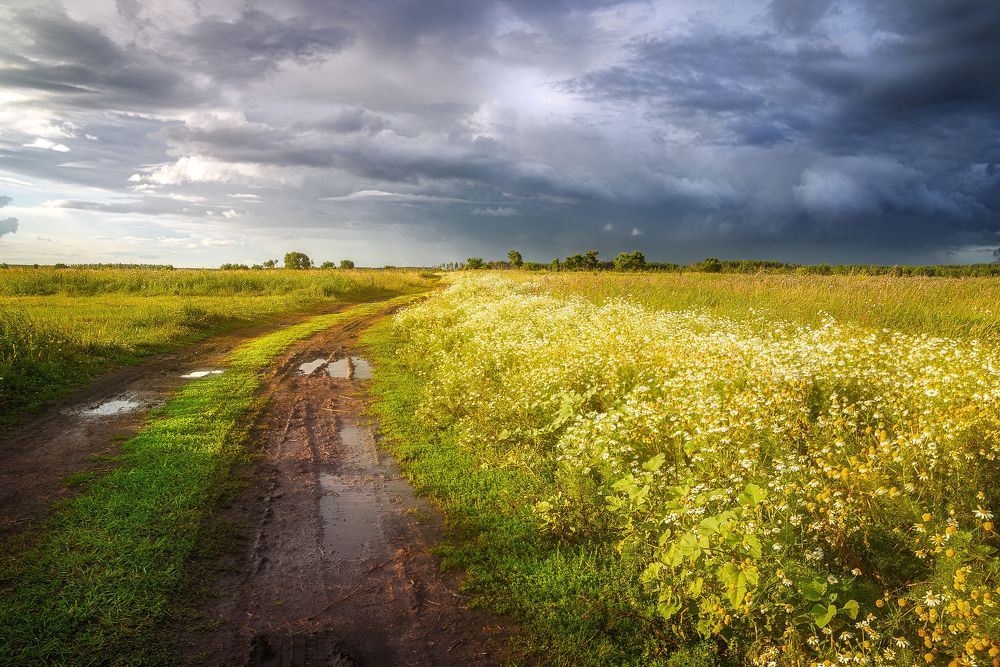 Photograph by Александр Мещеряков