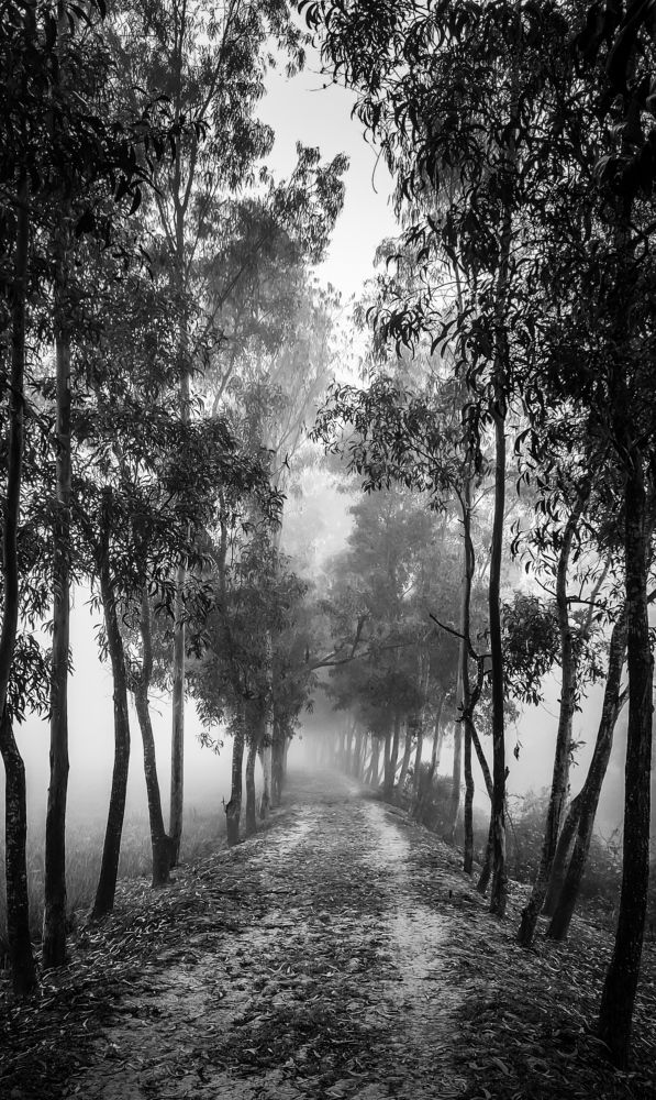 Photograph by Arindam Sahoo