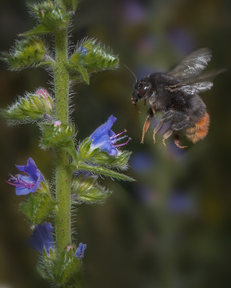 Photograph by Михаил