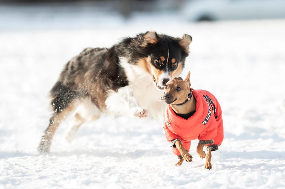 Photograph by Marie Romanova