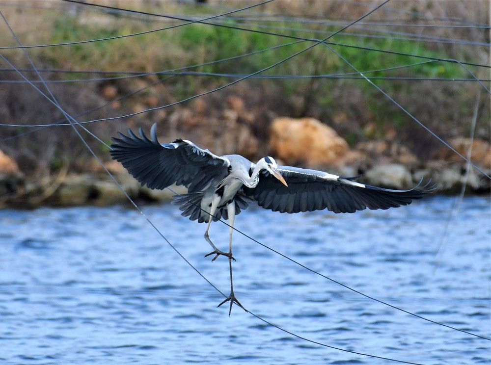 Photograph by Dagmara Giller