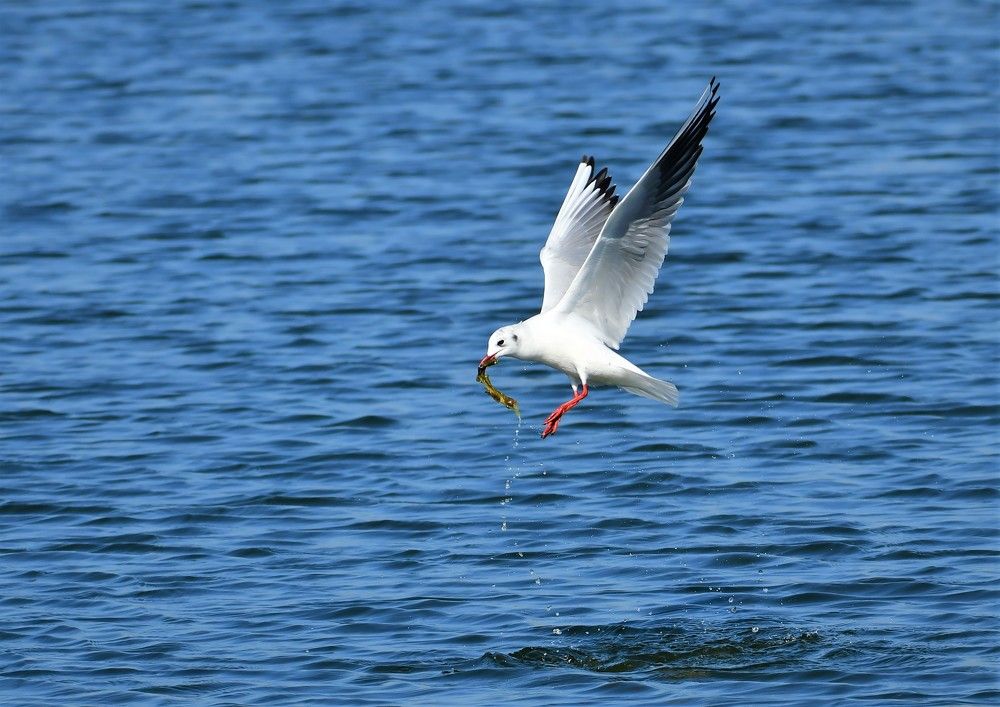 Photograph by Dagmara Giller