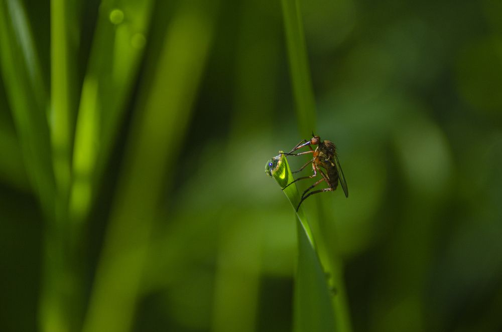 Photograph by 