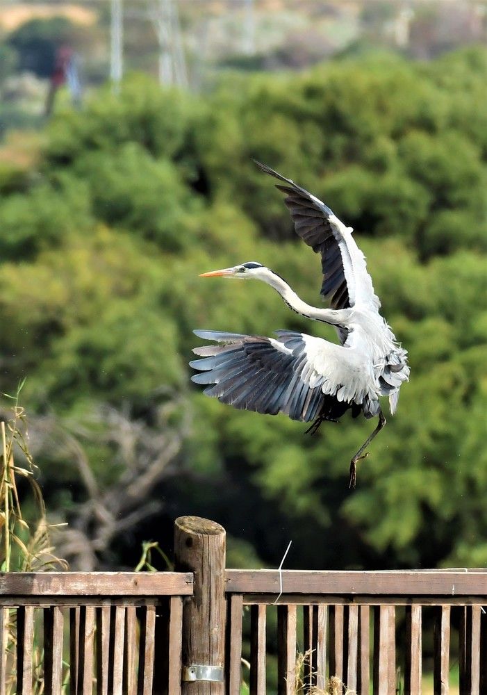 Photograph by Dagmara Giller