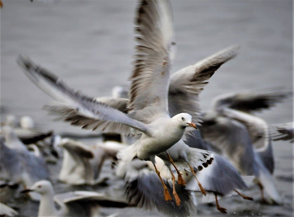 Photograph by Dagmara Giller