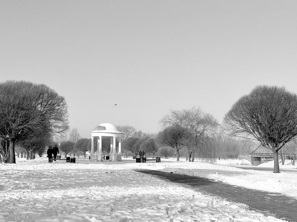 Фотография автора Ирина Мосько