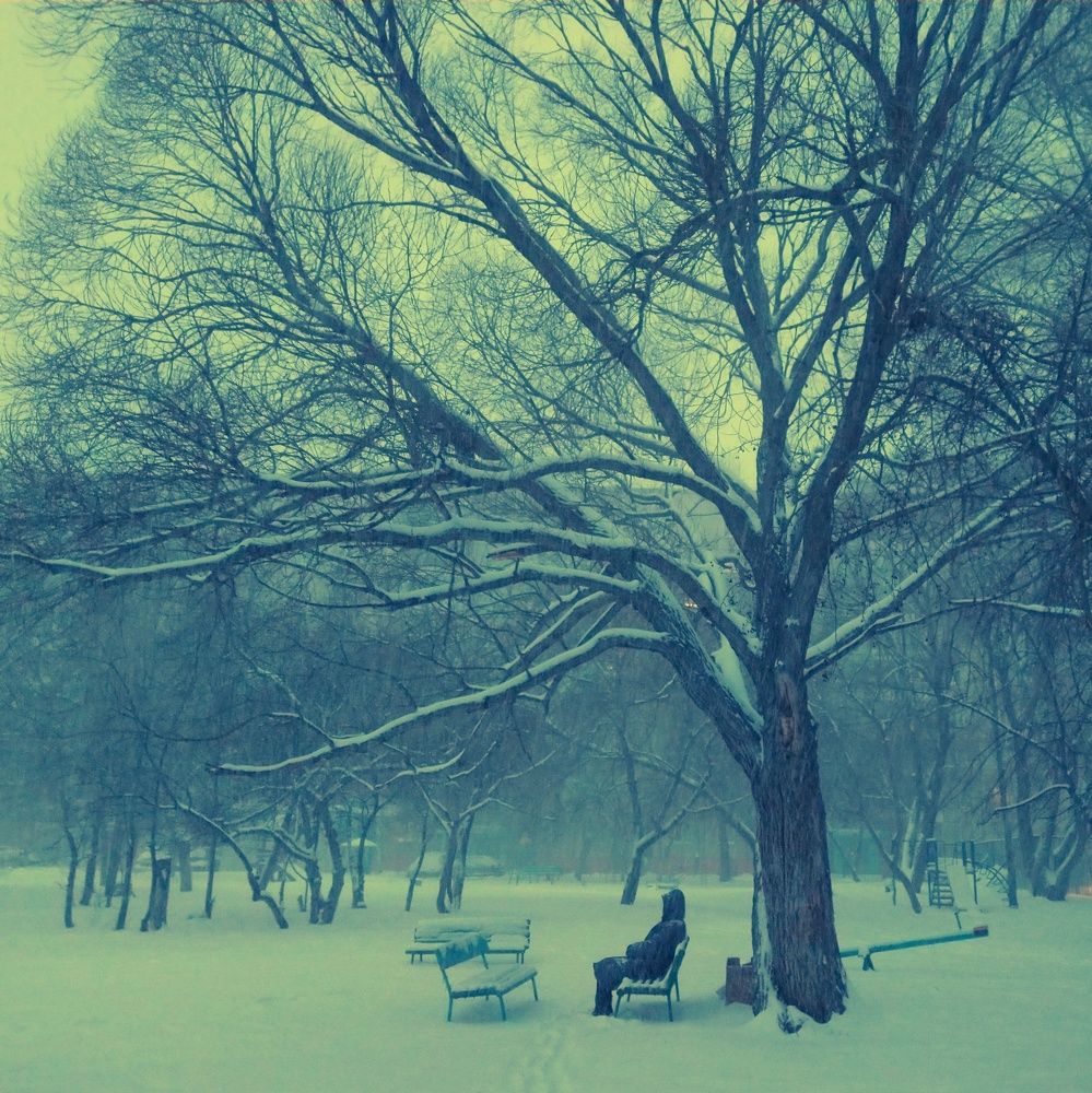 Photo #8893478