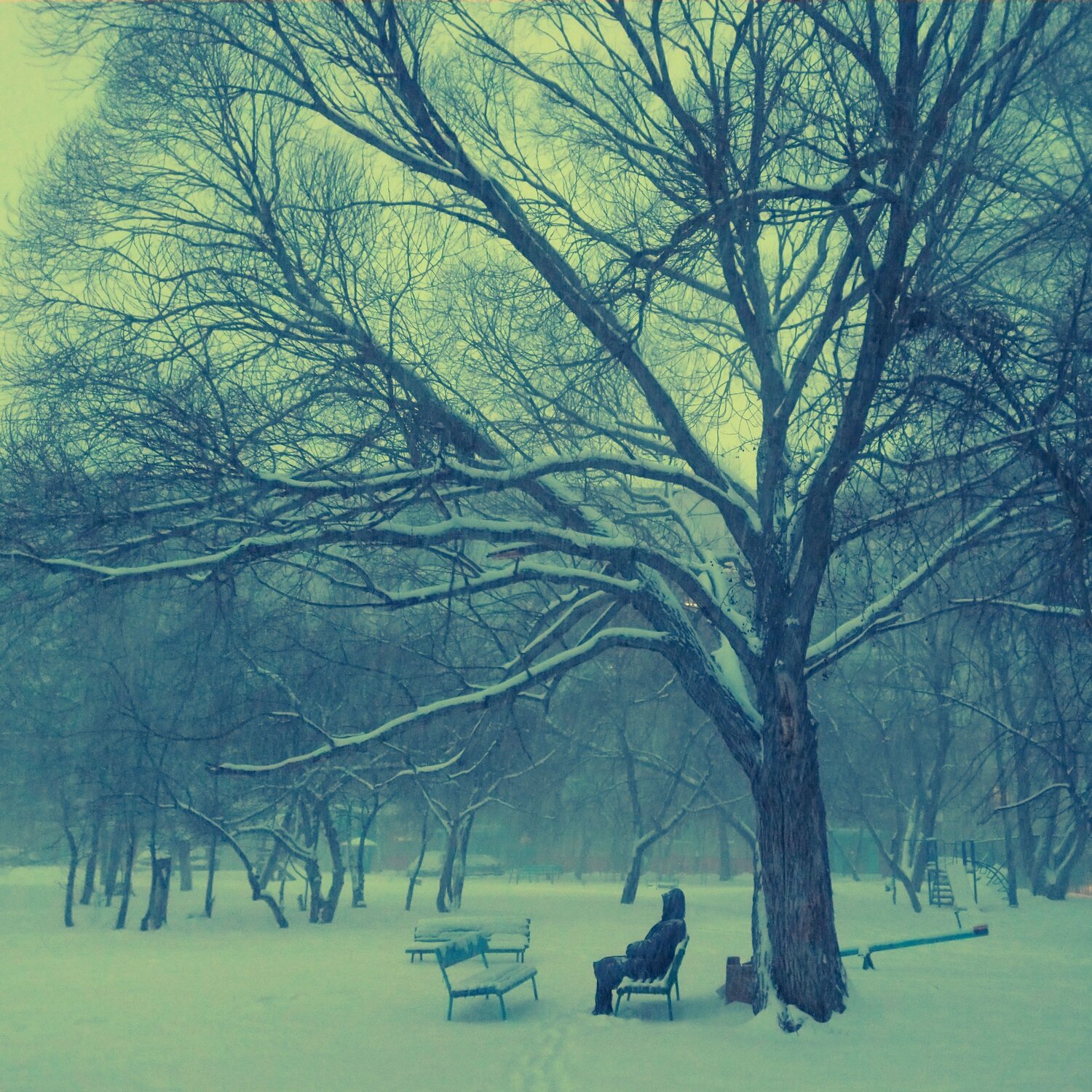 Photo #8893478