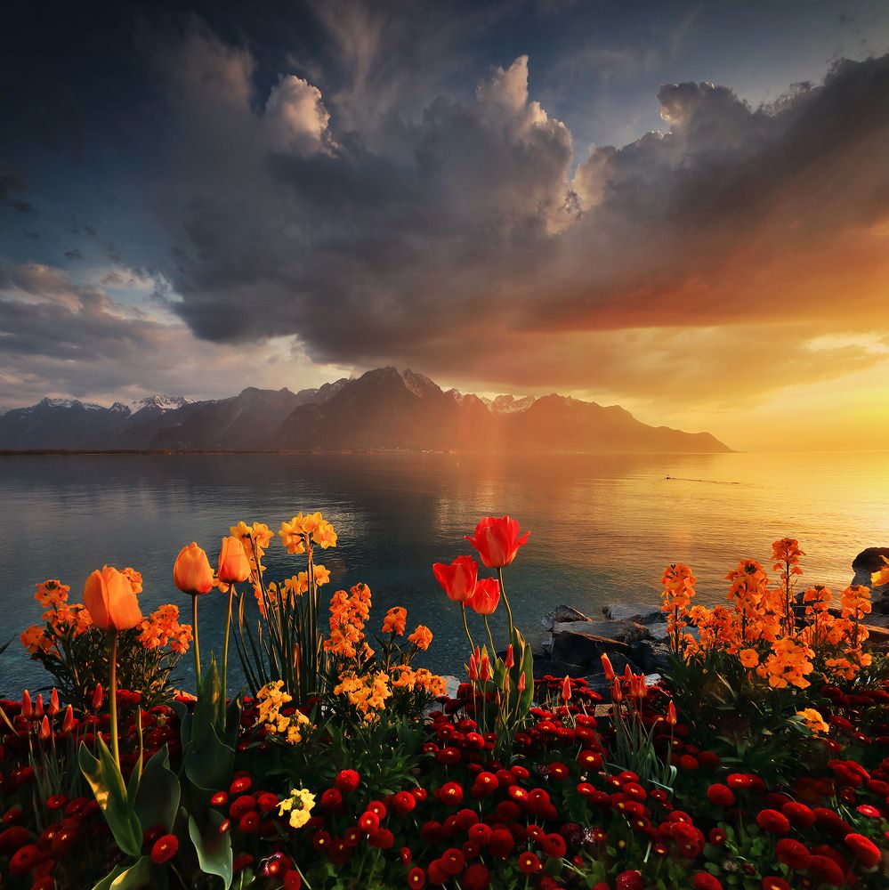 Photograph by Николай Матвеев