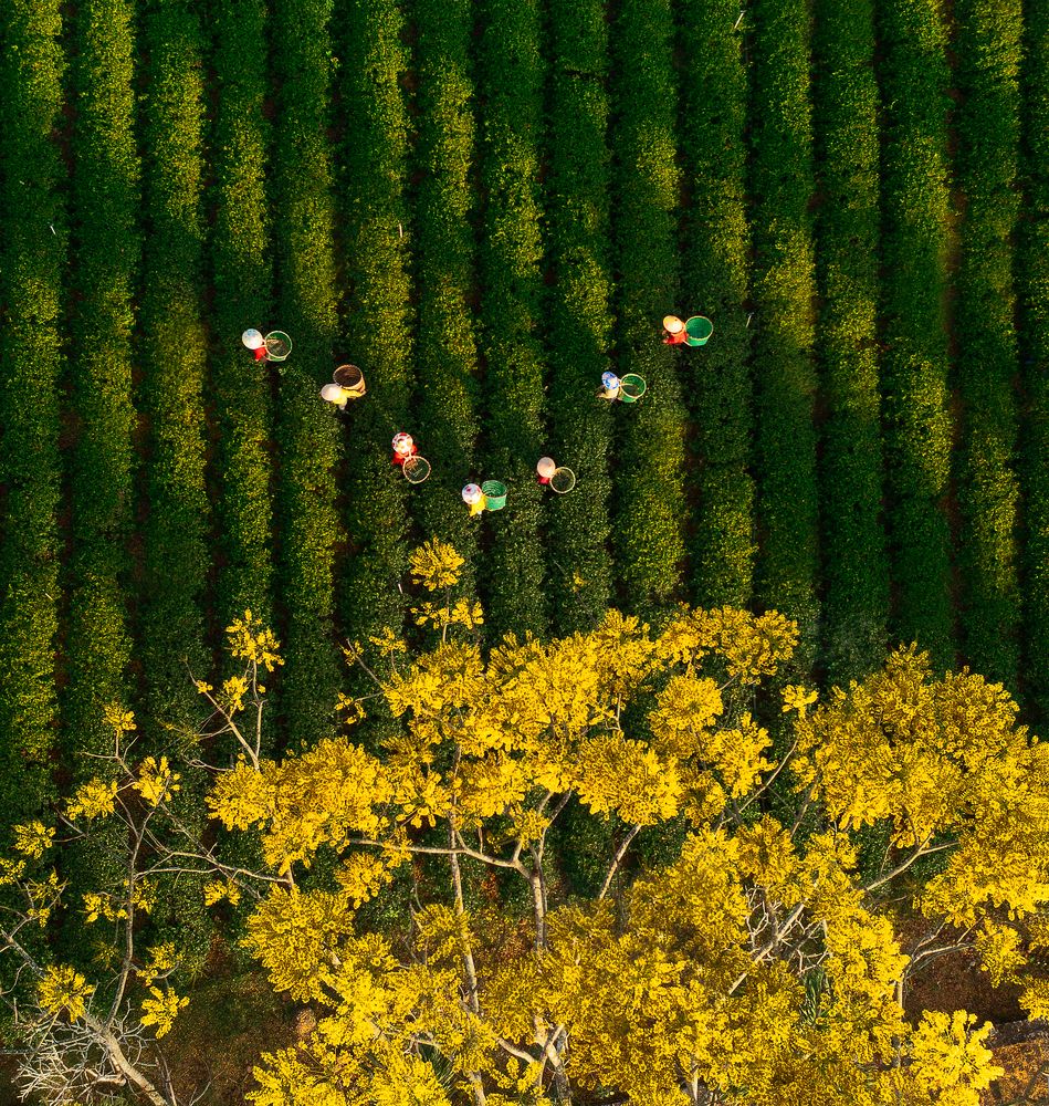 Photograph by Dinh Phong