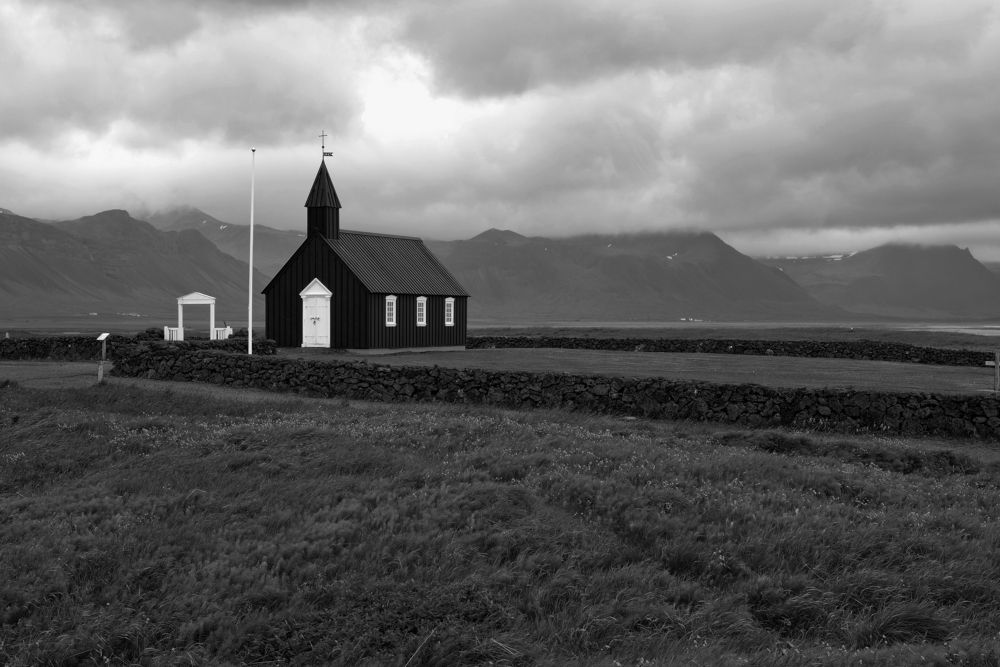 Photo #8893544