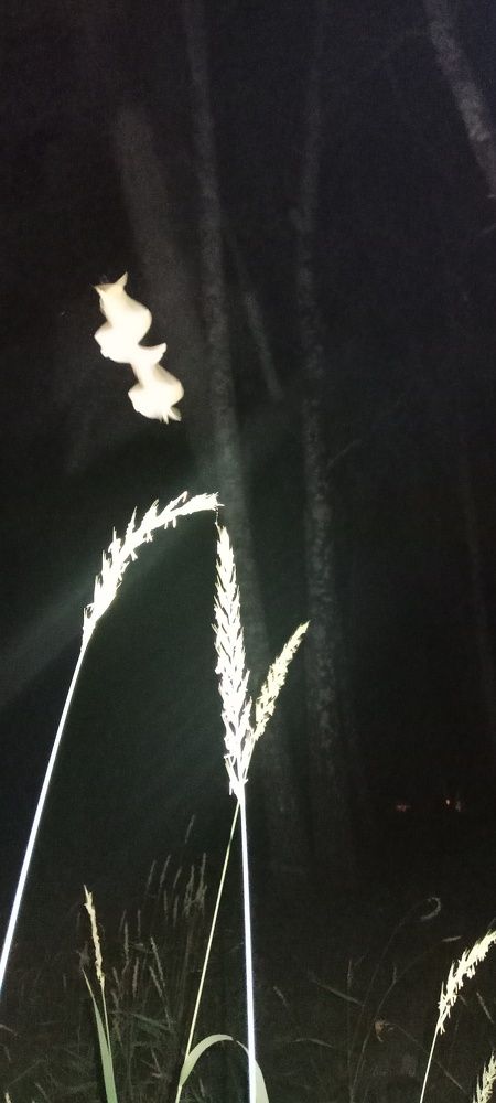 Photograph by Ольга