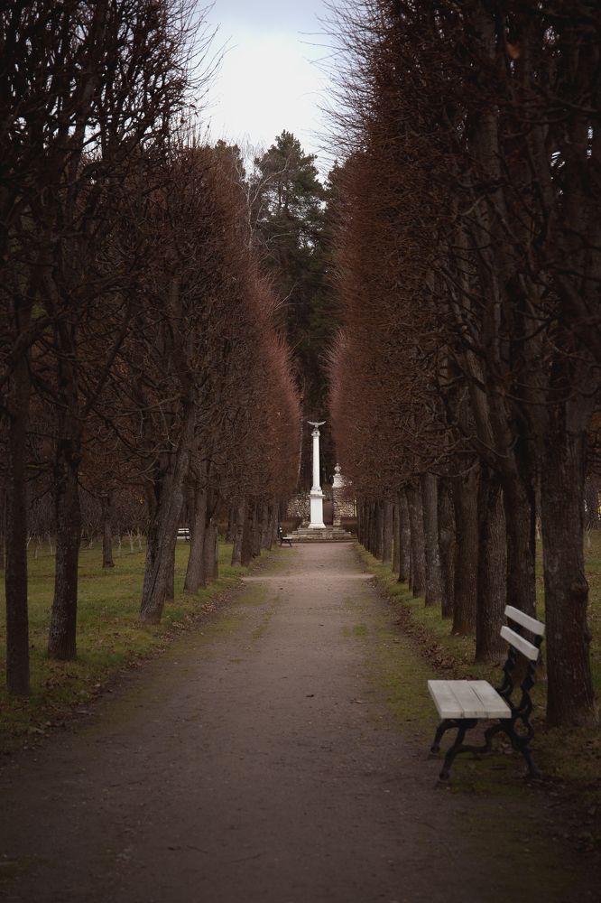 Фотография автора Наталья Смекалина