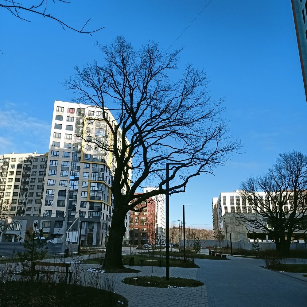 Photograph by Оксана Сорока