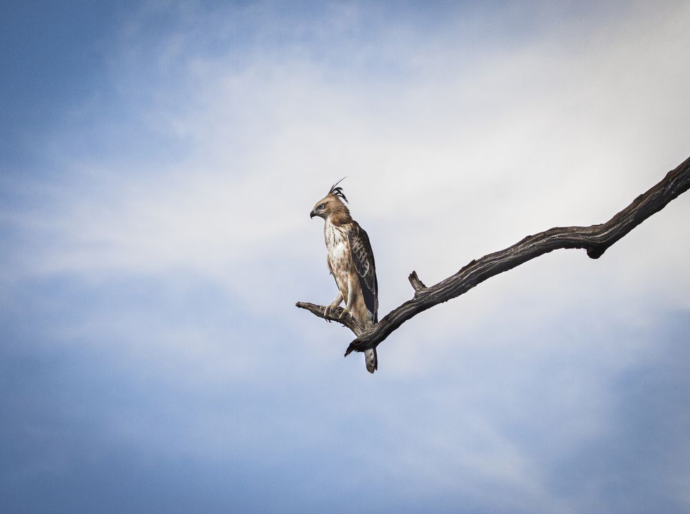 Photograph by Samarth Shrivastav