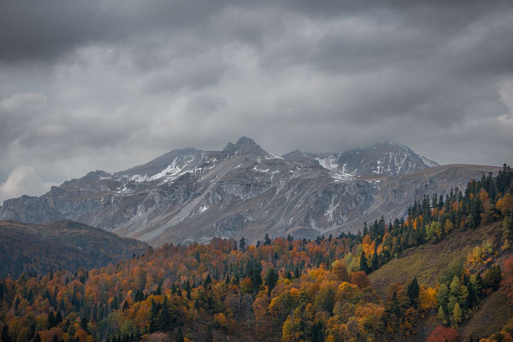 Photograph by Дмитрий Величко
