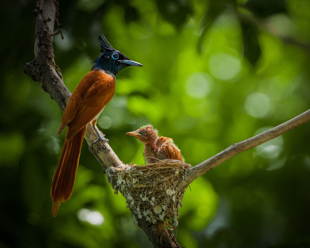 Photograph by Samarth Shrivastav