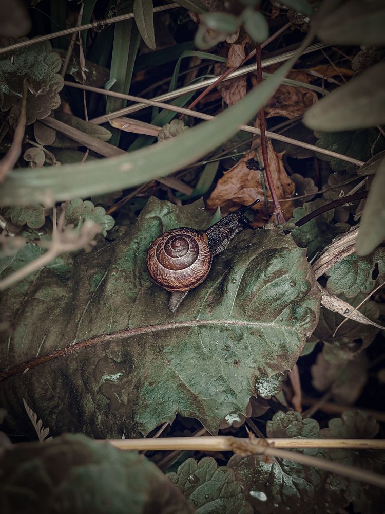 Photograph by Дарья Макаревич