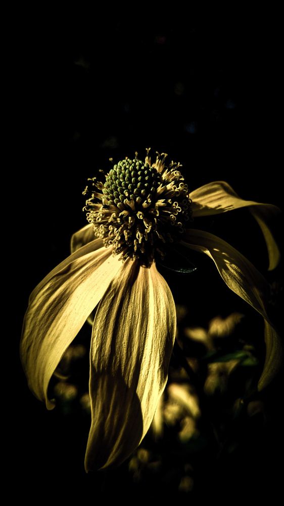 Photograph by Дарья Макаревич