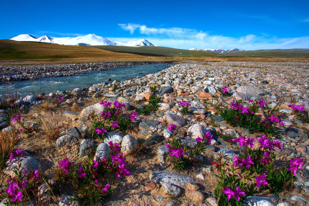 Photograph by Татьяна Нурхайдарова