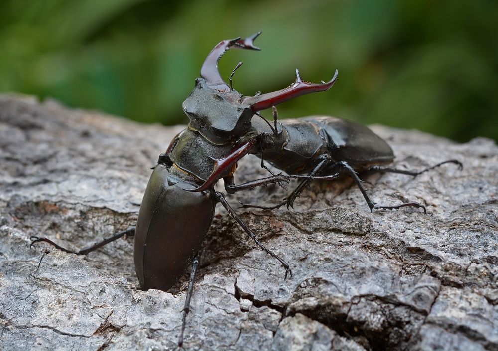 Photograph by Михаил Колтухов