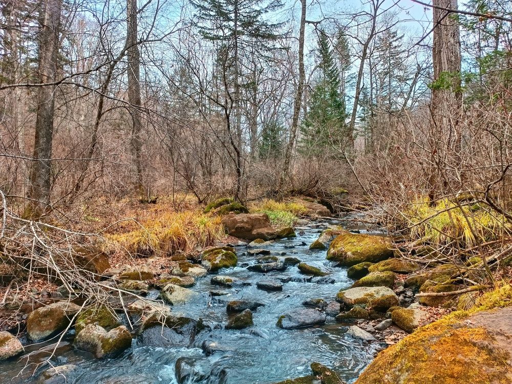 Photograph by Екатерина Цвиркунова