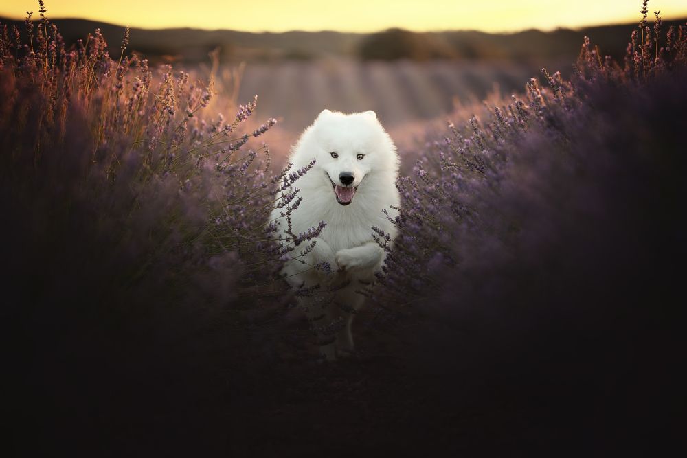 Фотография автора Rut Casanellas