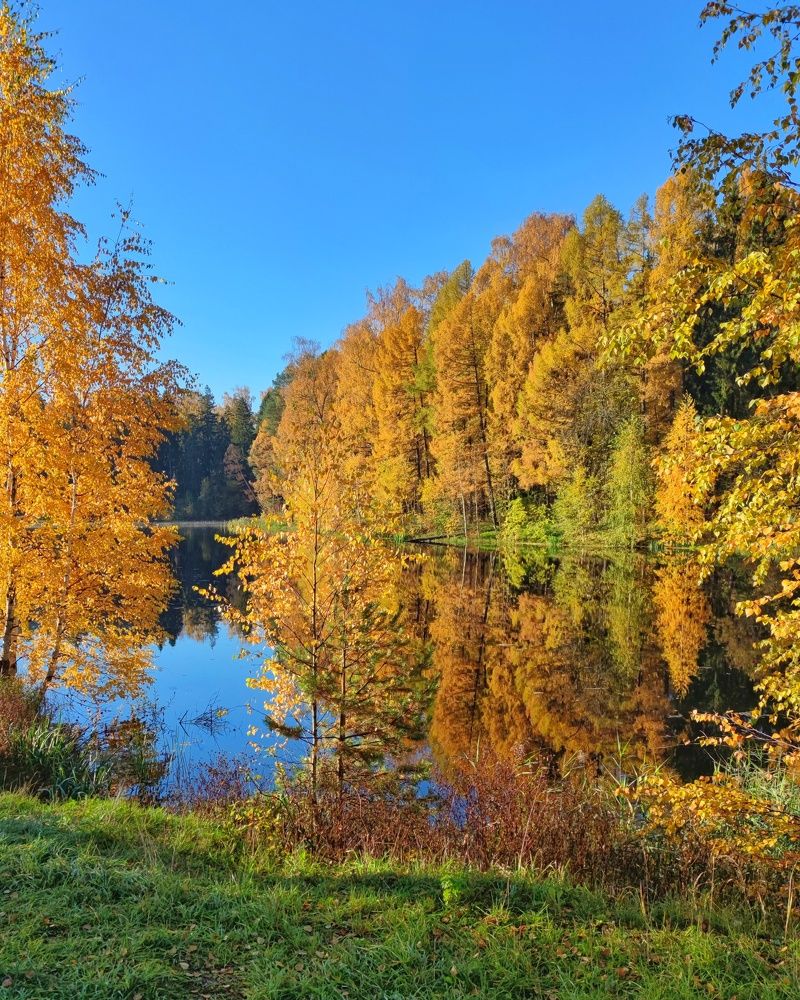 Photograph by Петр Поспелов