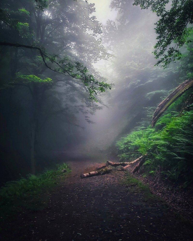 Photograph by amir shadpoor